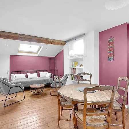 Spacious And Bright In The Historic Center * Toulouse